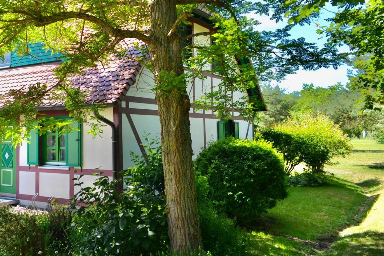 Strandnahe Ruegen * Dranske