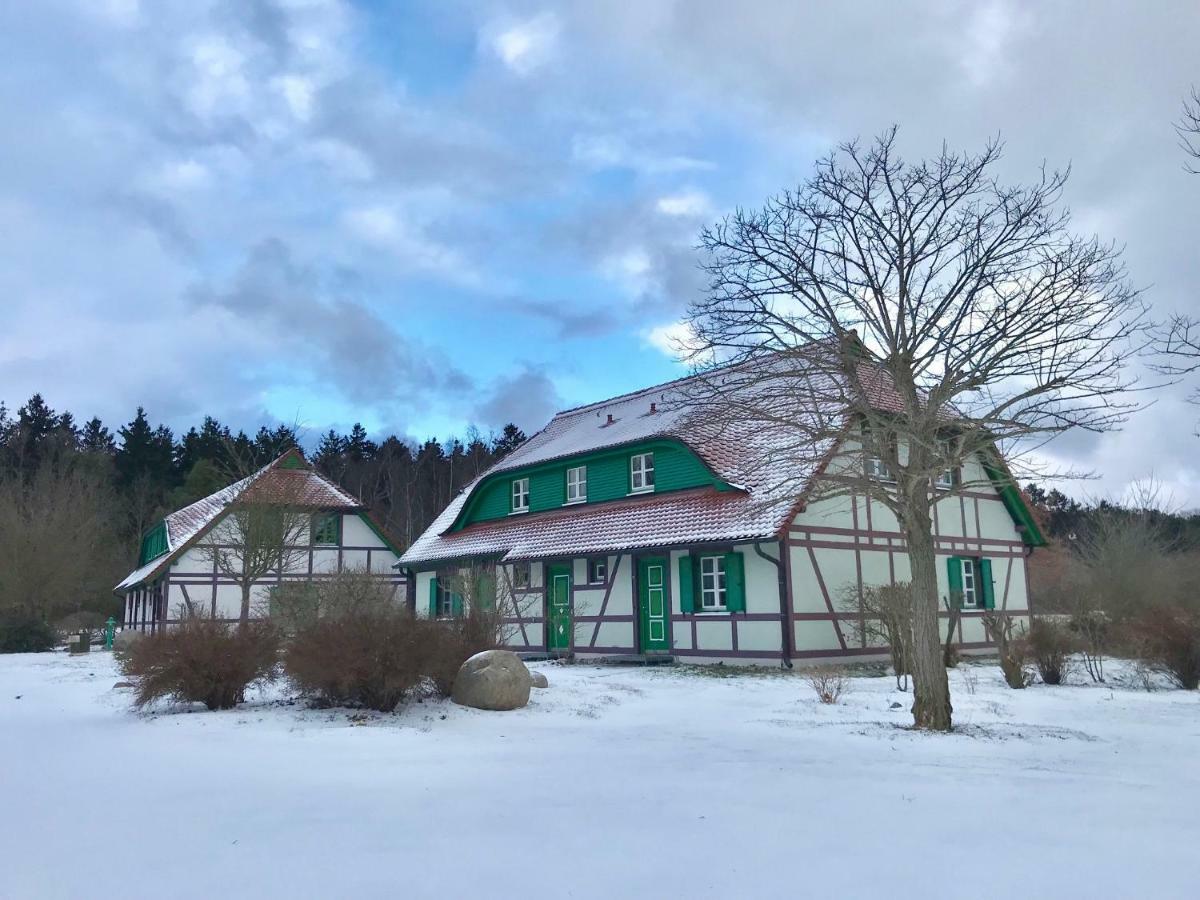 Strandnahe Ruegen Apartment Dranske