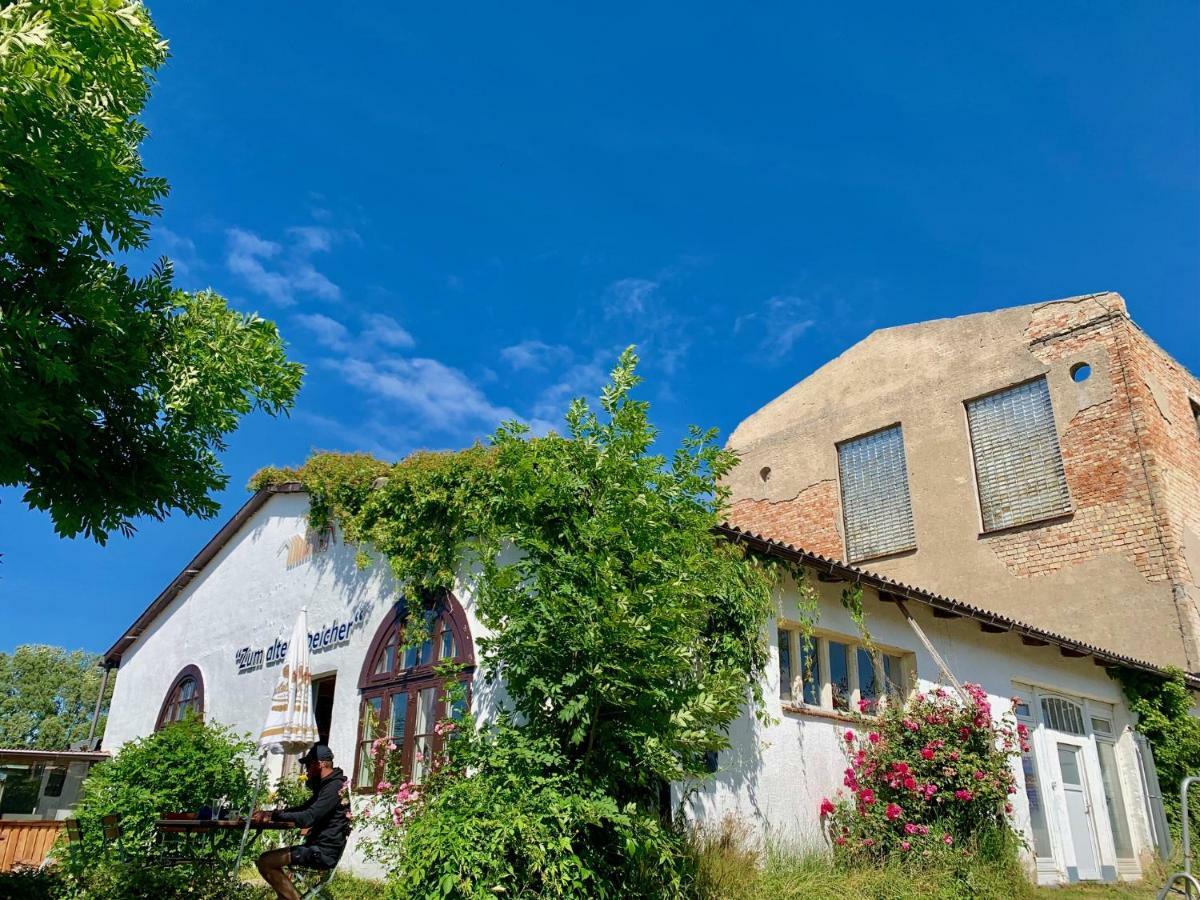 Strandnahe Ruegen Apartment Dranske